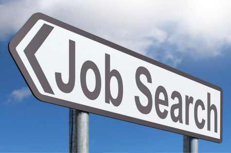 job-search-475x316