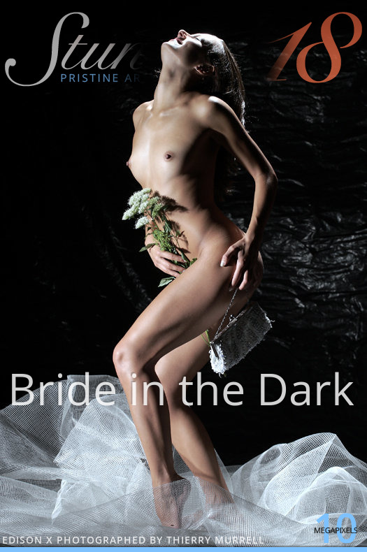 _Stunning-Bride-in-the-Dark-cover.jpg